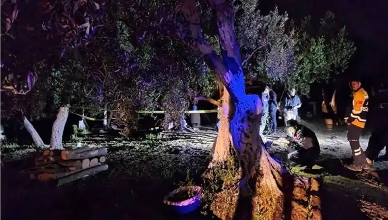 Çiftlikteki Baltalı Vahşet Olayında Bir Gözaltı Gerçekleşti