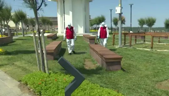 Kene Vakalarında Artış: Halka Açık Alanlarda İlaçlama Önlemleri Alınıyor