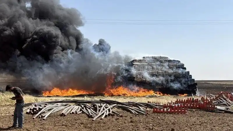 Mardin'de Çıkan Anız Yangını, Tarım Alanlarını Tehdit Altına Aldı