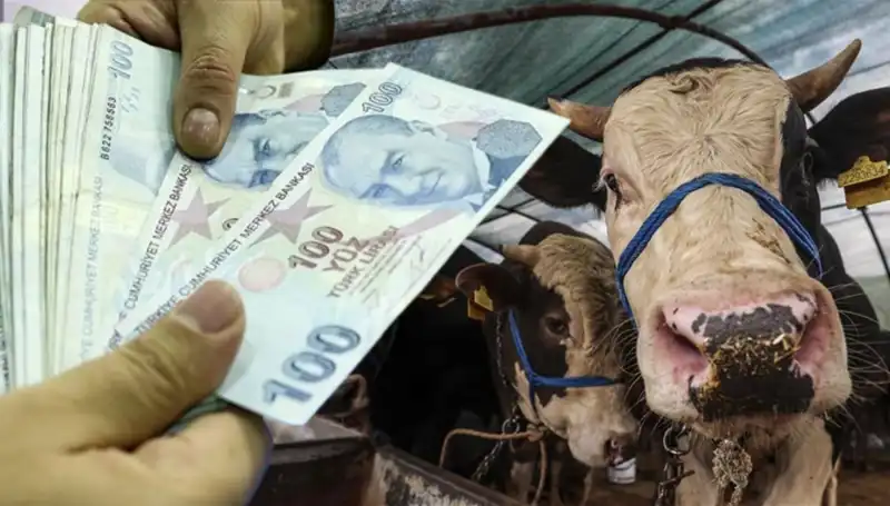 Kurban Bayramı Öncesi Maaşlar Ne Zaman Yatacak? İşte Cevabı!
