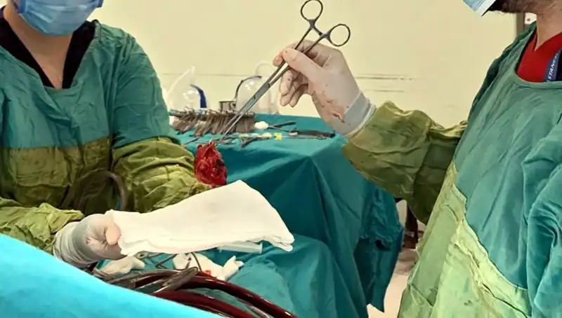 Kalp Kapağı Çürüyen Hastanın 7 Saatlik Ameliyatıyla Sağlığına Kavuşması