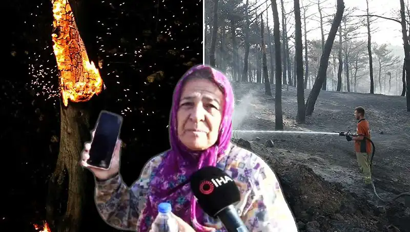 Çanakkale Orman Yangınları Kontrol Altına Alındı: Kurtarma Mücadelesinin Ardındaki Gerçekler