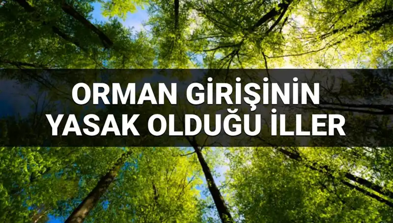 2025'te Hangi İllerde Ormana Girmek Yasaklandı? İşte Tüm Detaylar!