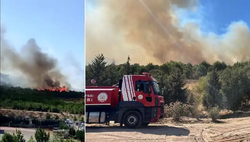 Gebze'de Orman Yangını: Doğa ve Hayat Tehlikede!**