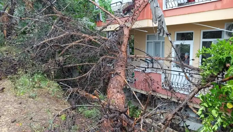 Yağmurun Gücü: Bina Çöktü, Çevrede Panik Var!