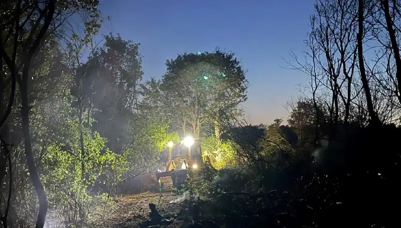 Edirne Orman Yangını Kontrol Altına Alındı: Yangınla Mücadelede Son Gelişmeler