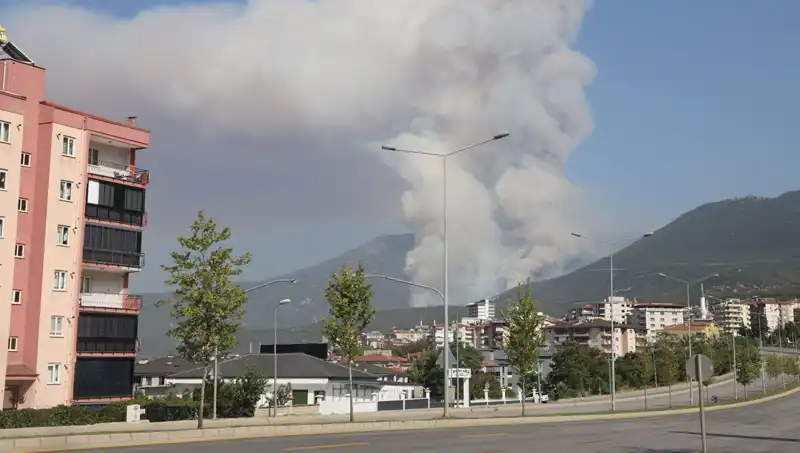 Denizli'deki Orman Yangını: Bir Gözaltı ve Korkutan Detaylar